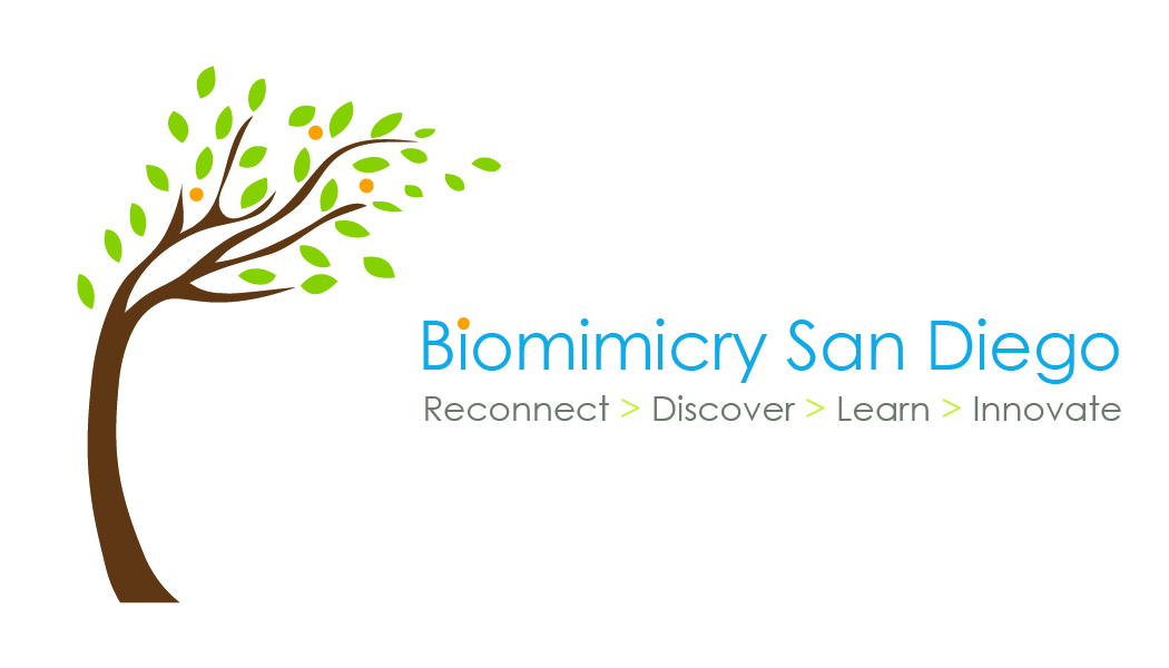 Biomimicry San Diego