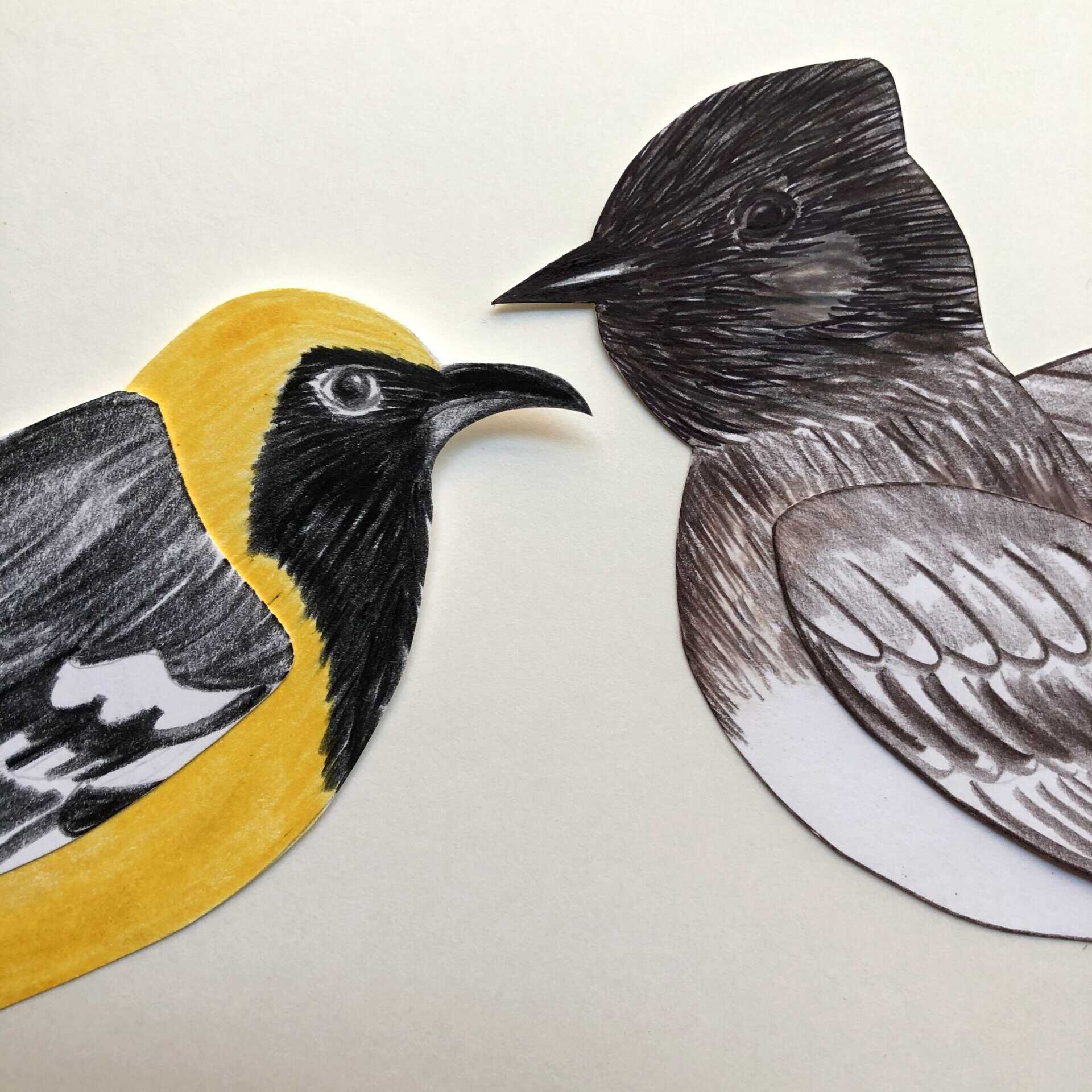 Bird Drawing Workshop with Art FORM