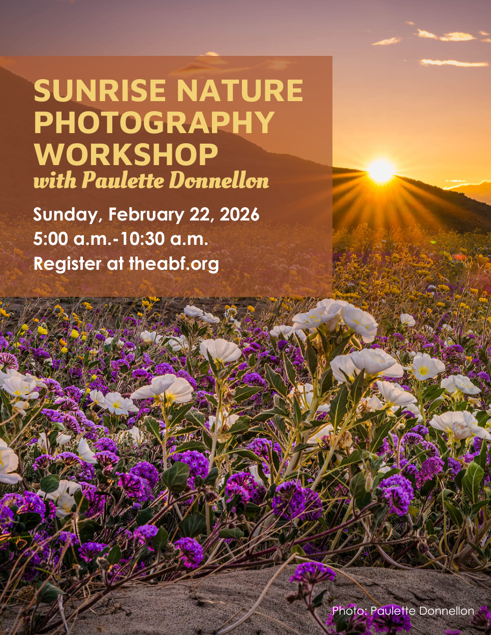 February Sunrise Nature Photography Workshop with Paulette Donnellon