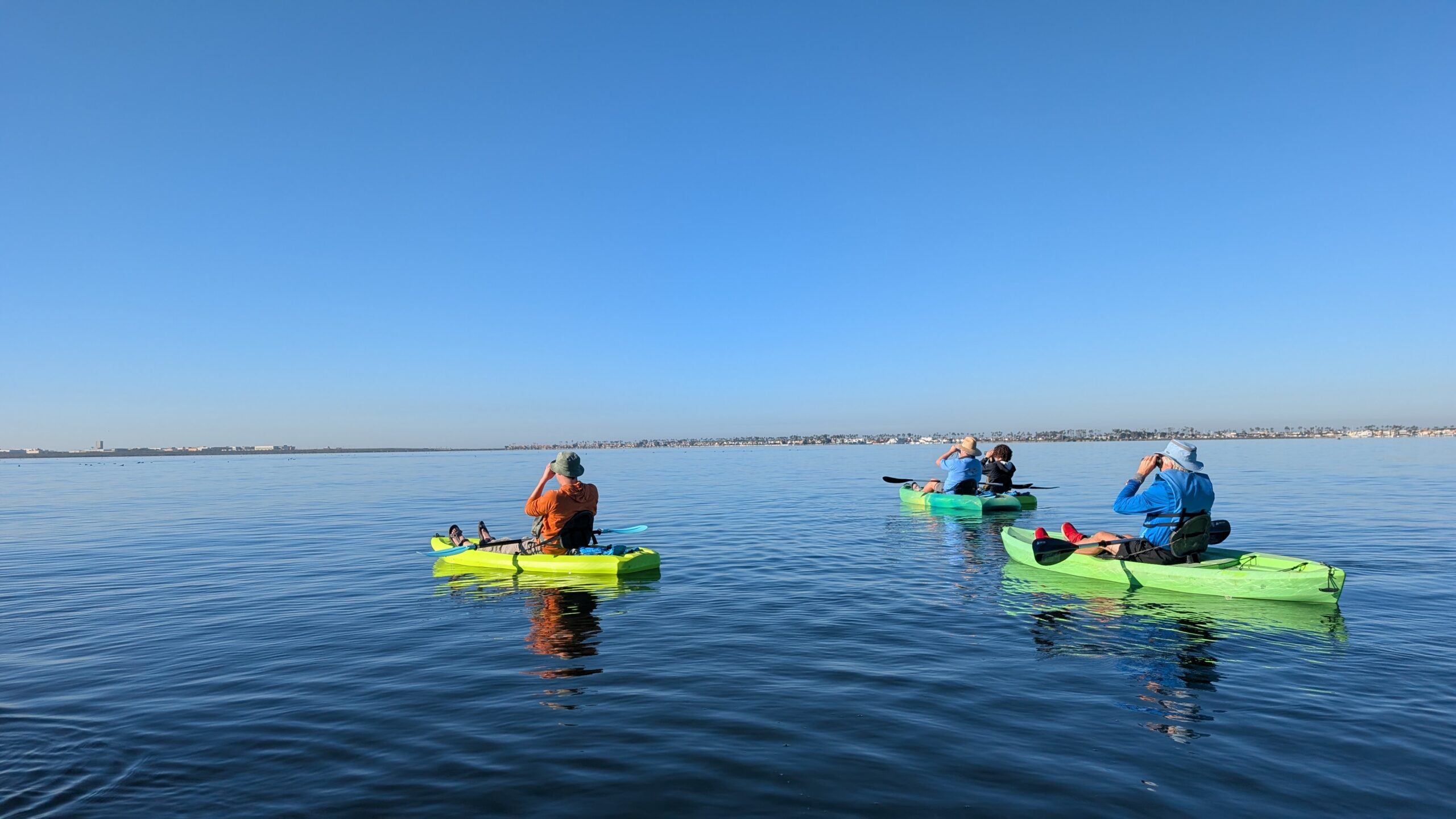Wildlife Kayaking Eco Tour