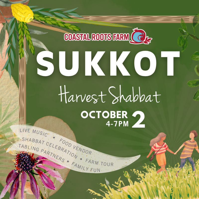 Sukkot Harvest Shabbat