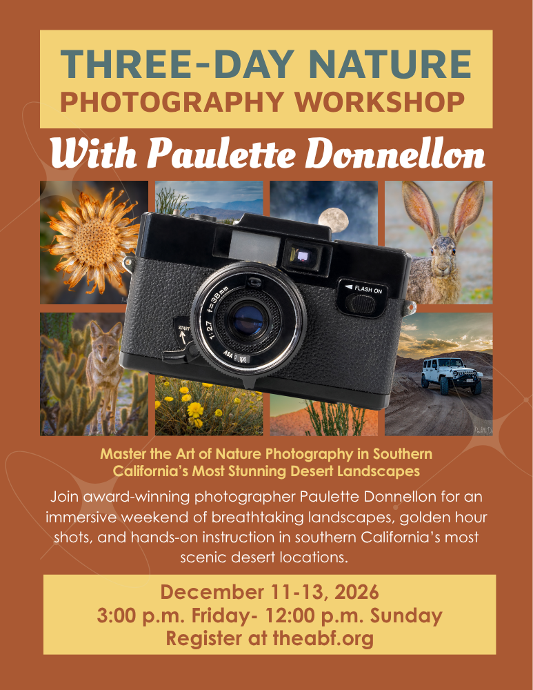 3-Day Nature Photography Workshop with Paulette Donnellon