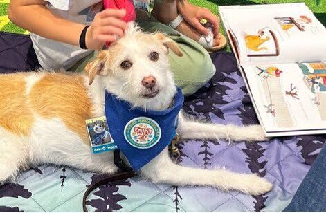 Paws and Tales: Read to a SD Humane Society Canine Ambassador