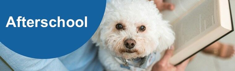 Doggie Tales