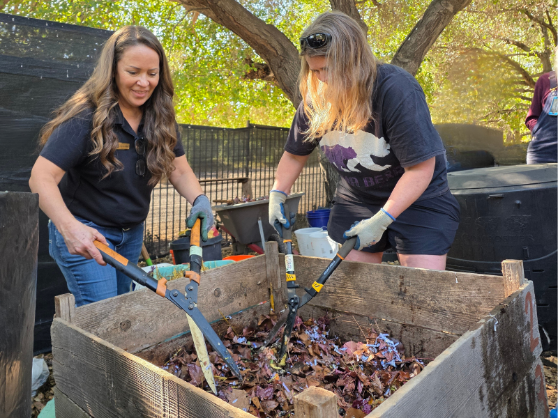 Backyard Composting Basics Workshop — Solana Center for Environmental Innovation