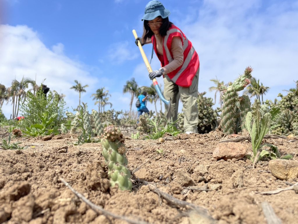 California Coastal Cleanup Day – Otay Valley Regional Park