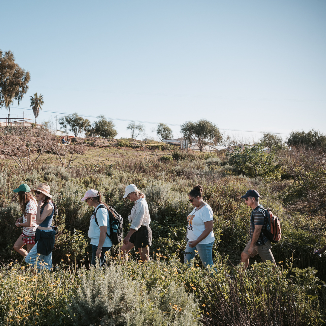 Monthly Farm Tour – September 2026