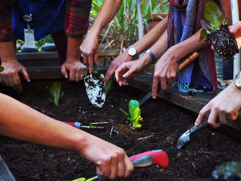 Together Toward Zero Waste: A Community Lunch & Learn — Solana Center for Environmental Innovation